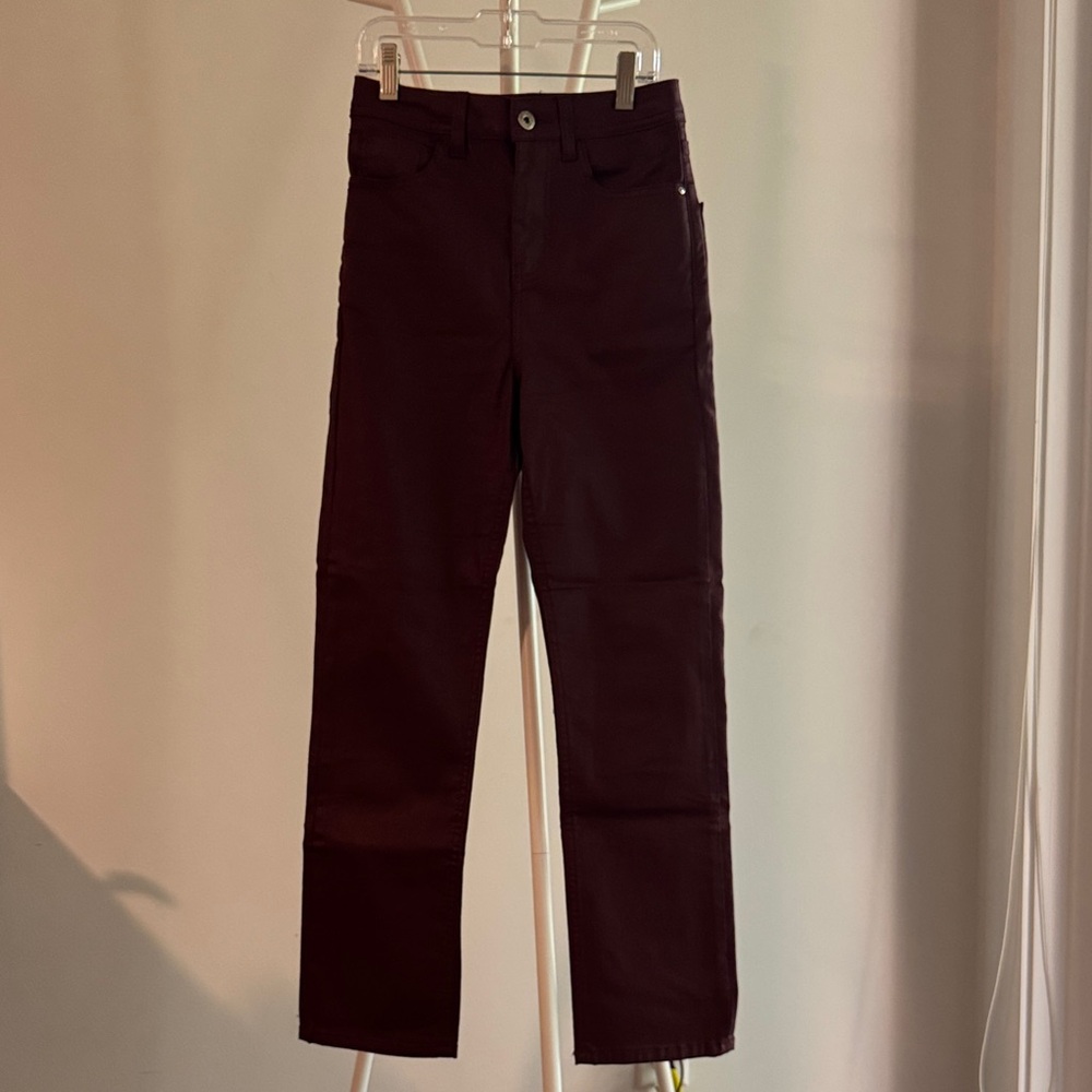 Zara Burgundy Strait Wax Pants